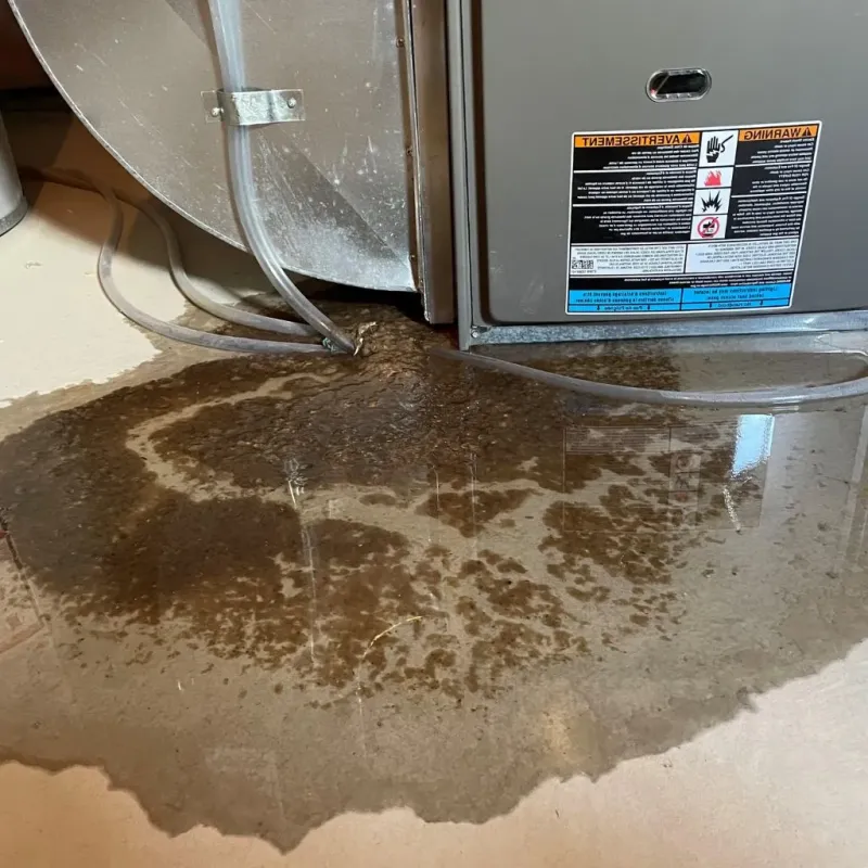 Pipe Burst and Leak Restoration in Red Lodge, MT